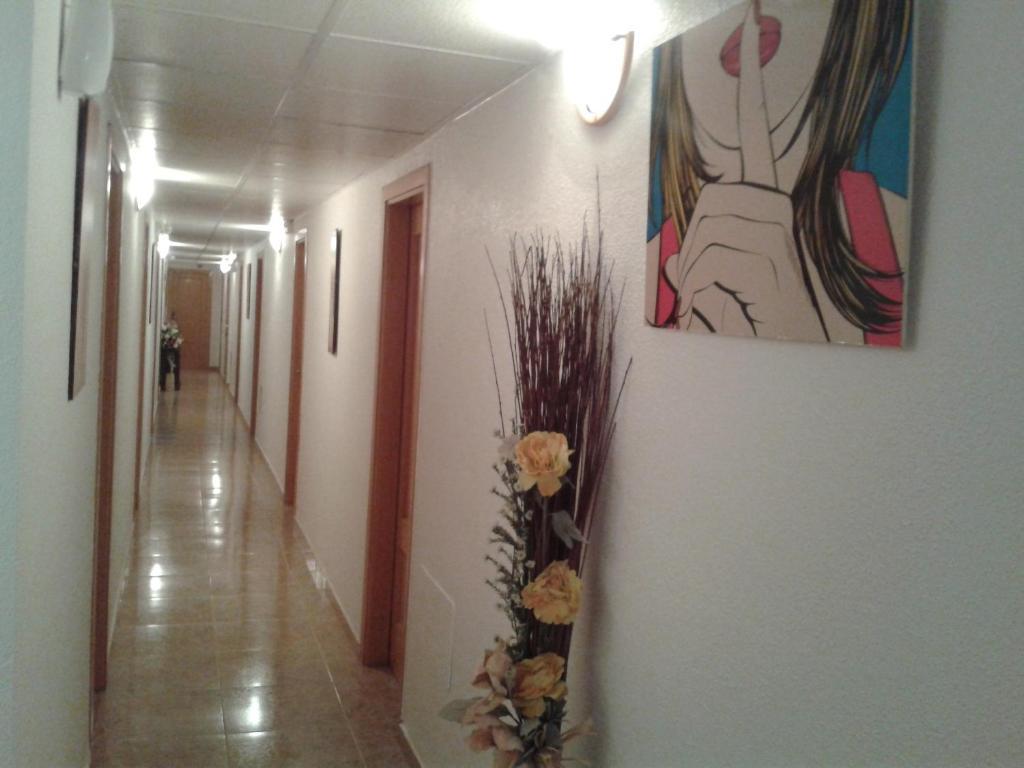 Hostal Arneva Orihuela المظهر الخارجي الصورة